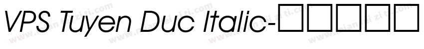 VPS Tuyen Duc Italic字体转换